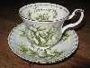 Royal Albert Flower of Month Cup & Saucer (Montross)- January